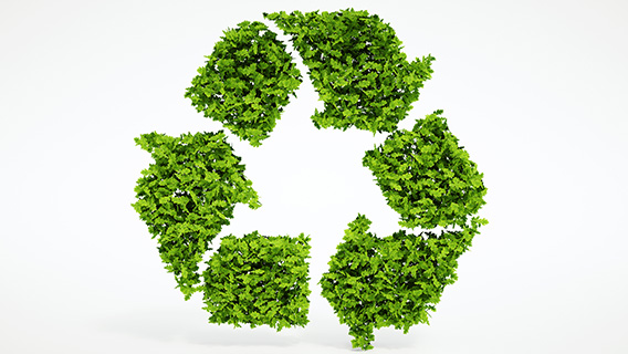 Nachhaltigkeit Recycling